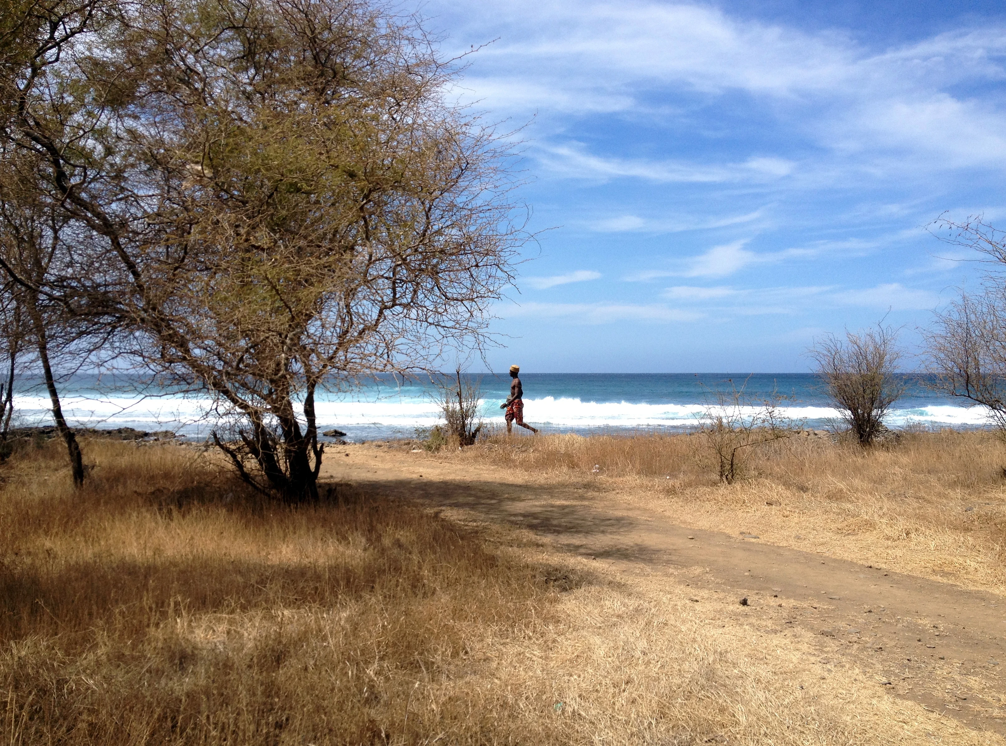 Woman walking along the beach, trees and ocean